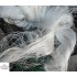 Сеть рыбацкая одностенка (дробинка) 1.6х50м китайка